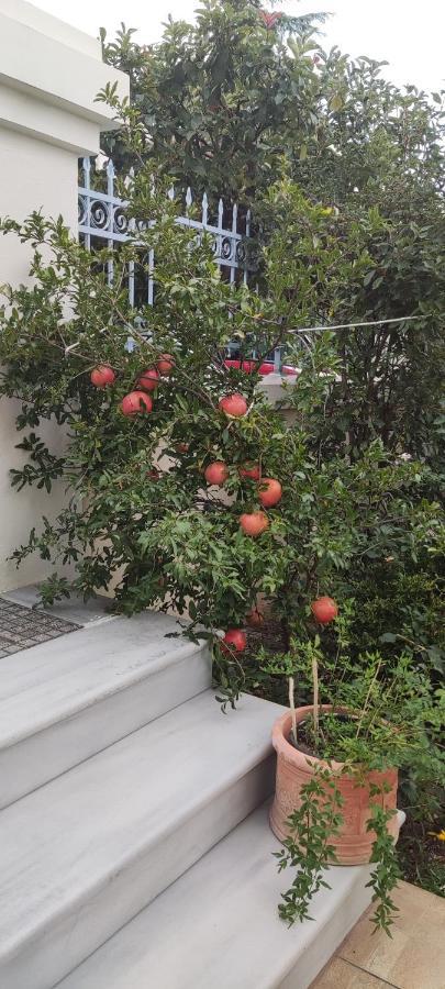 Dora'S Home With Garden Volos Exterior photo